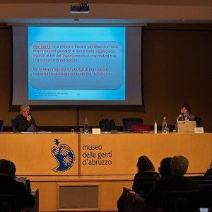 ECM del 14/12/24 - Aggiornamenti di Radioprotezione: evoluzione della tecnologia applicata alle immagini mediche, dalla normativa all’intelligenza artificiale